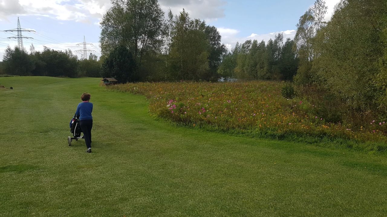 Golf Gleidingen