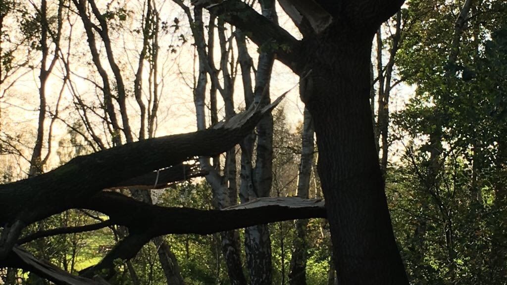 Achimer Golfclub e.V.