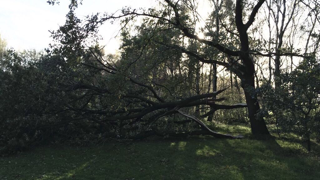 Achimer Golfclub e.V.