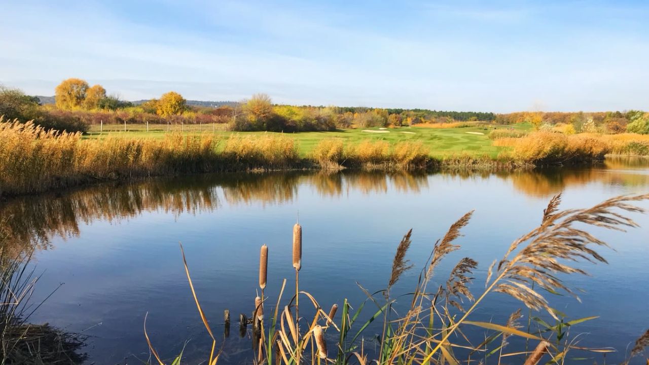 Balaton Golf