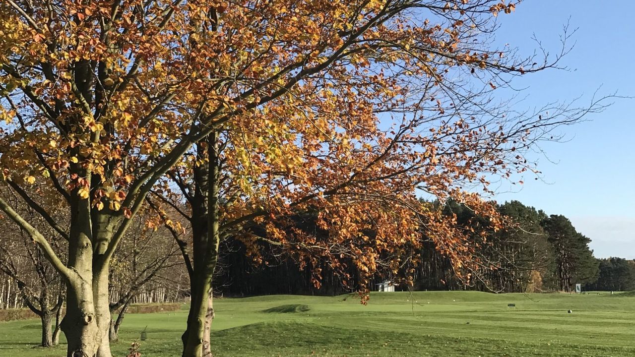 Golfclub Berlin Prenden