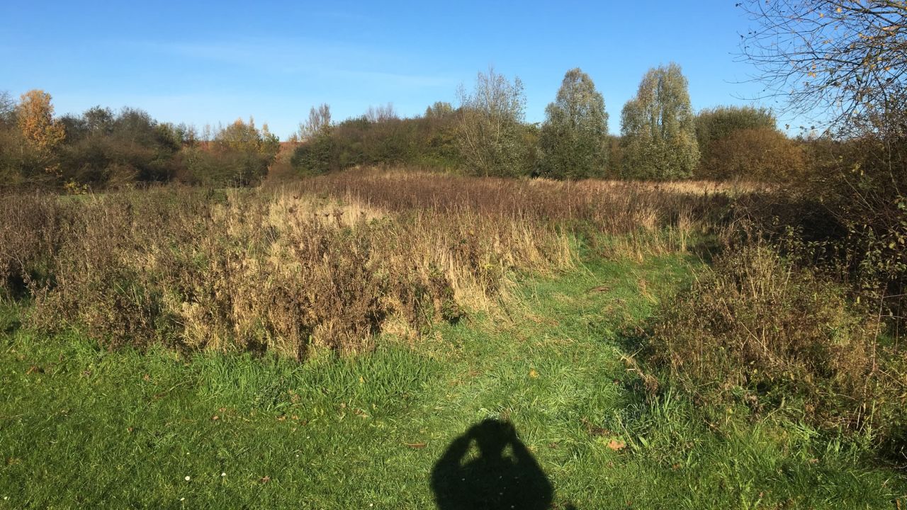 1. Bremer Cross Golf Club n.e.V.