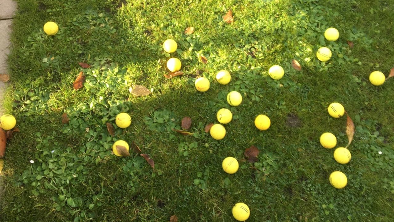 1. Bremer Cross Golf Club n.e.V.