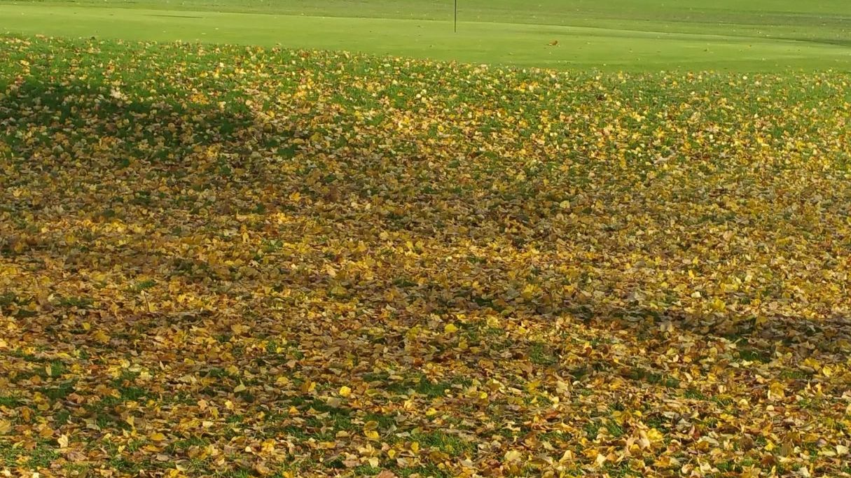 Golfanlage Clostermanns Hof