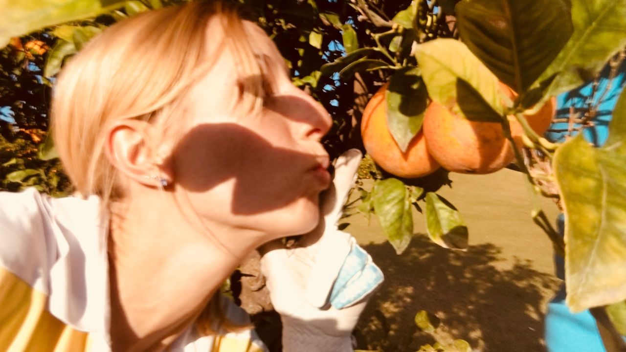 Quinta do Lago Laranjal