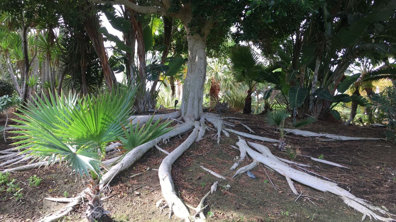 Quinta do Lago South