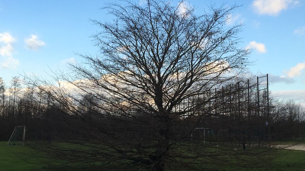 1. Bremer Cross Golf Club n.e.V.