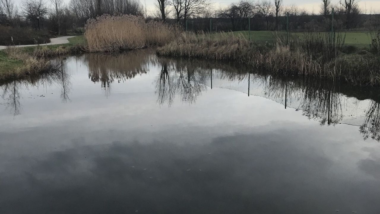 Berliner GC Stolper Heide