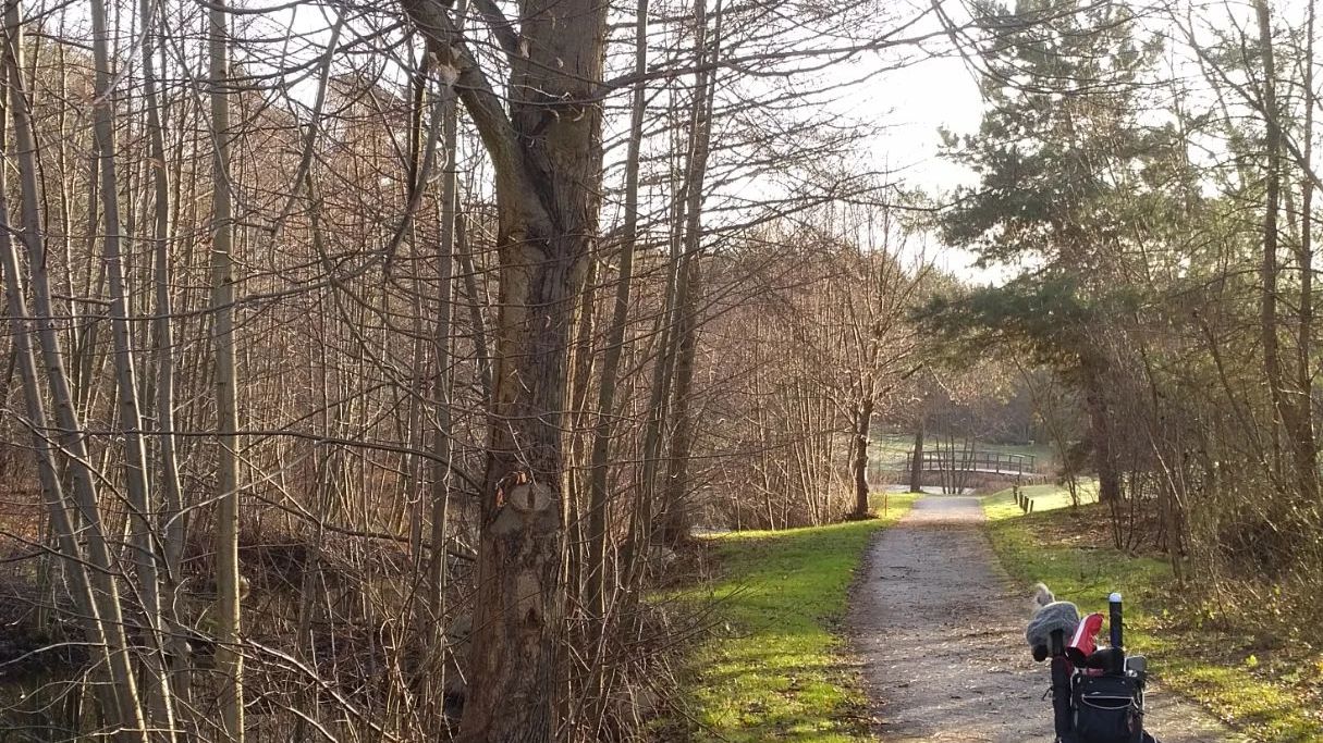 Golf Club Bad Saarow