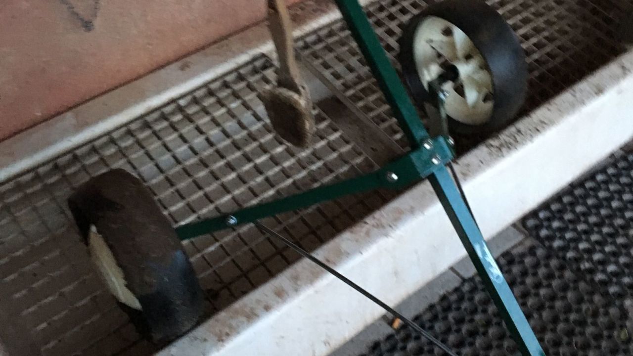 1. Bremer Cross Golf Club n.e.V.