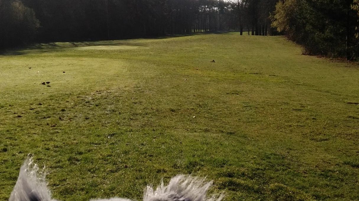 Golf Club Bad Saarow