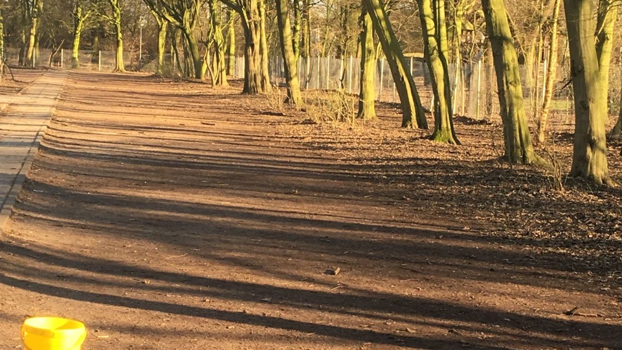 1. Bremer Cross Golf Club n.e.V.