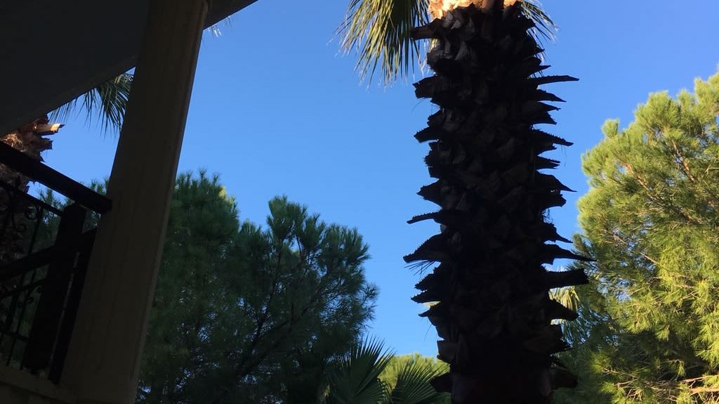 Robinson Club Nobilis