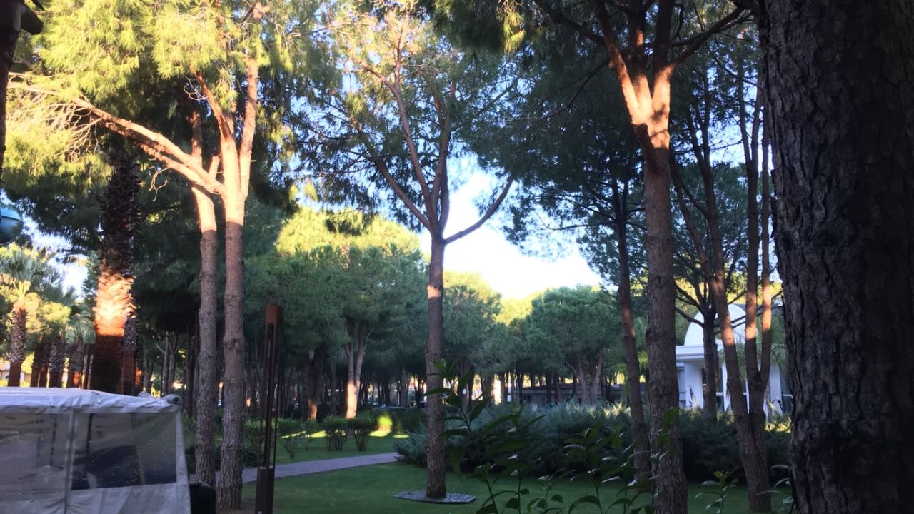 Robinson Club Nobilis