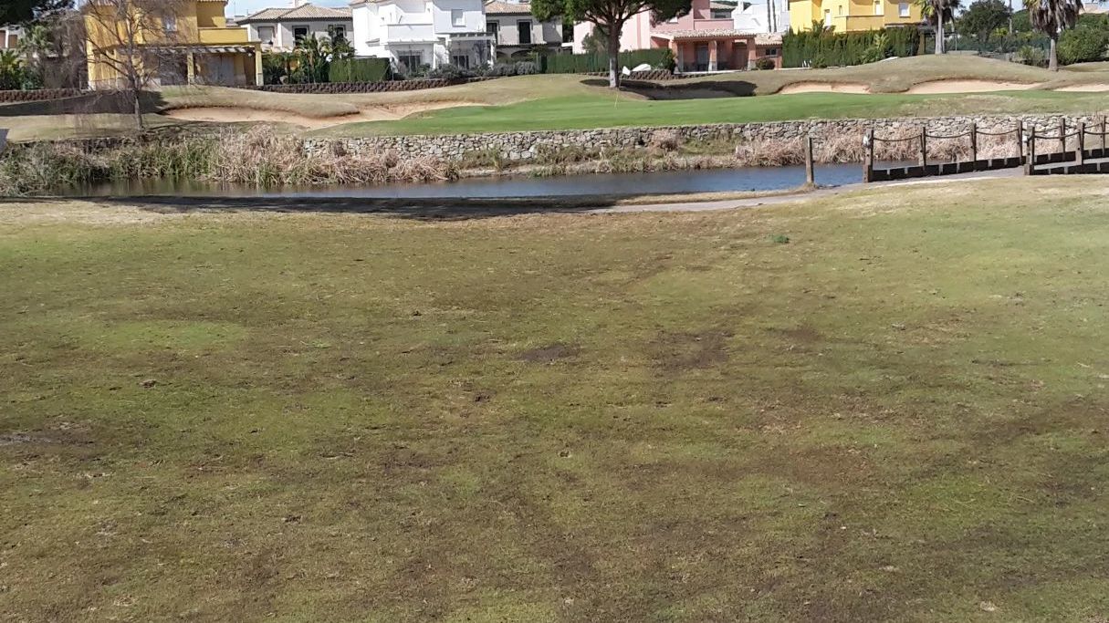 Sancti Petri Hills Golf