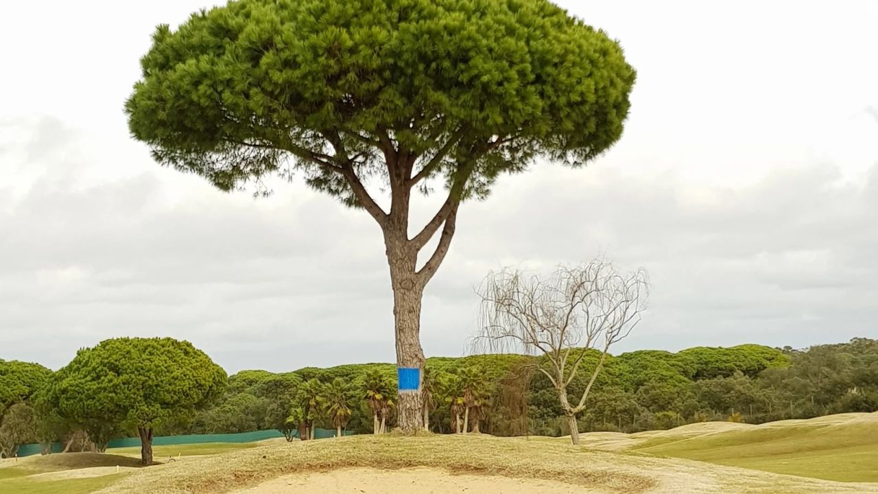 Sancti Petri Hills Golf