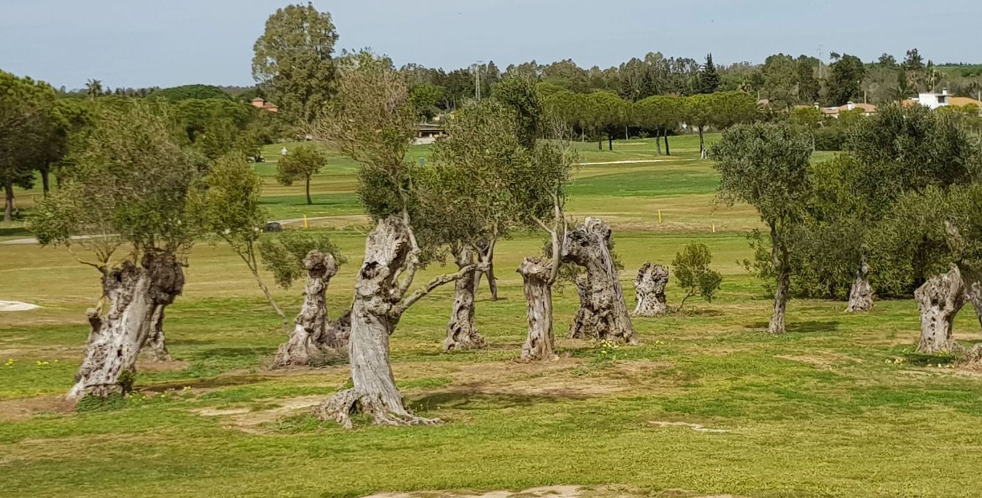La Estancia Golf