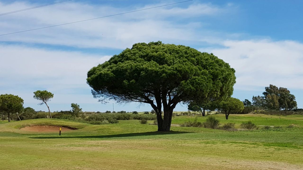 La Estancia Golf