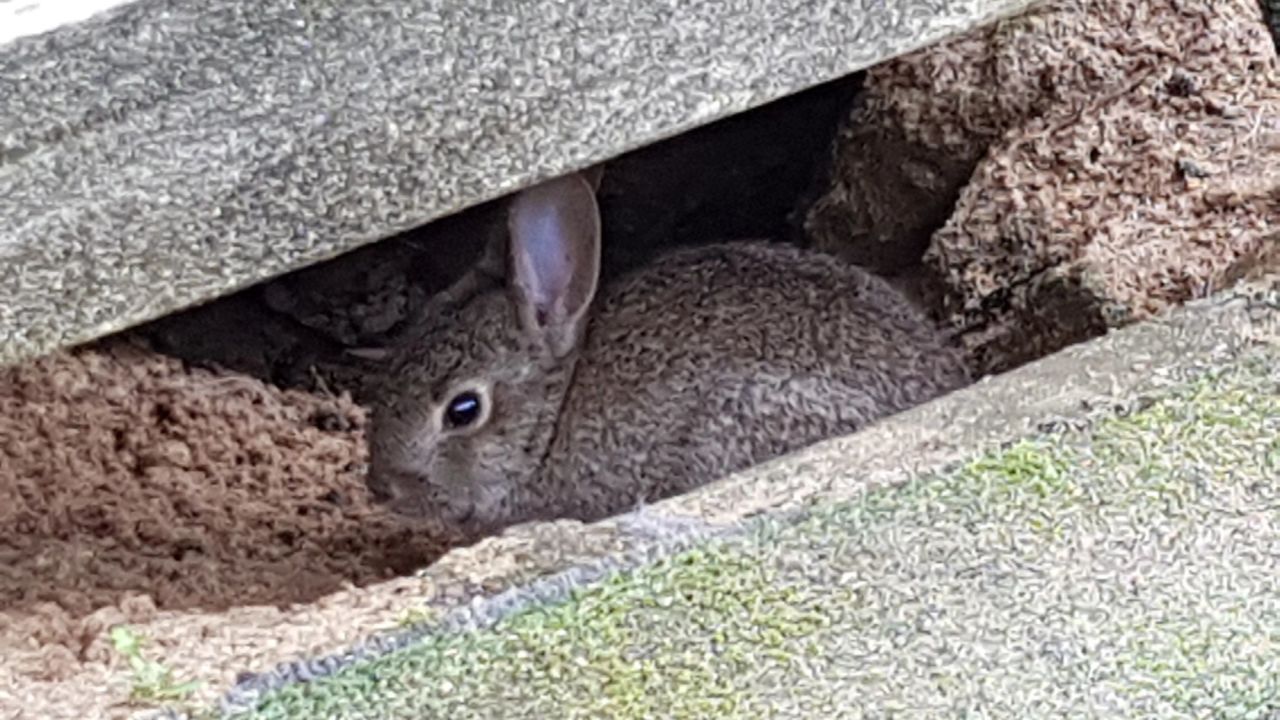 Montenmedio Golf & Country Club