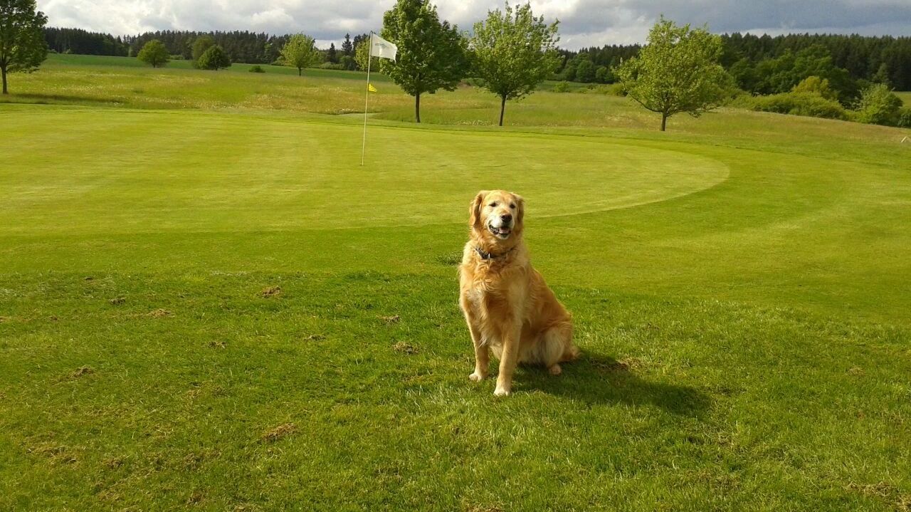 GC Lauterbach e. V. Schloss Sickendorf