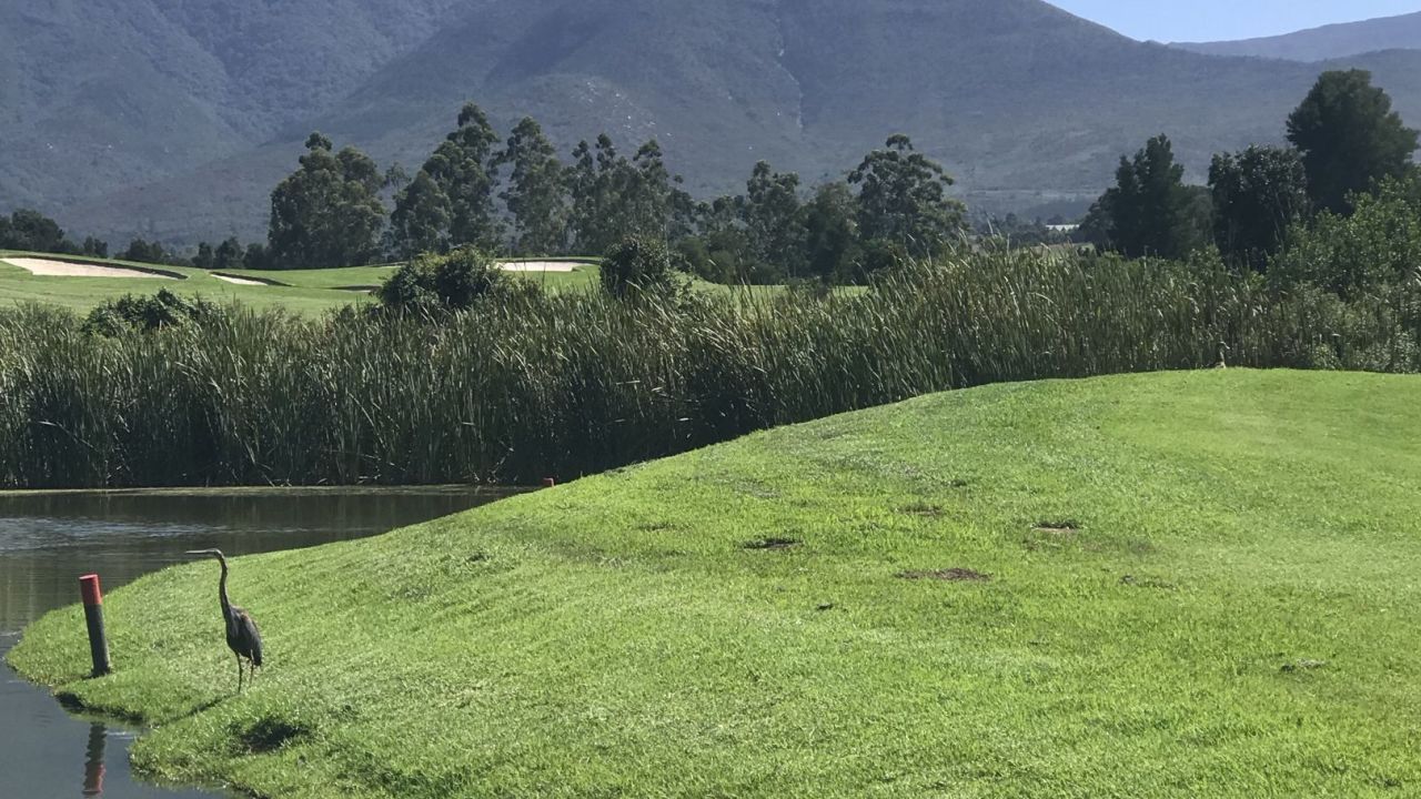 Fancourt Hotel and Country Club Estate