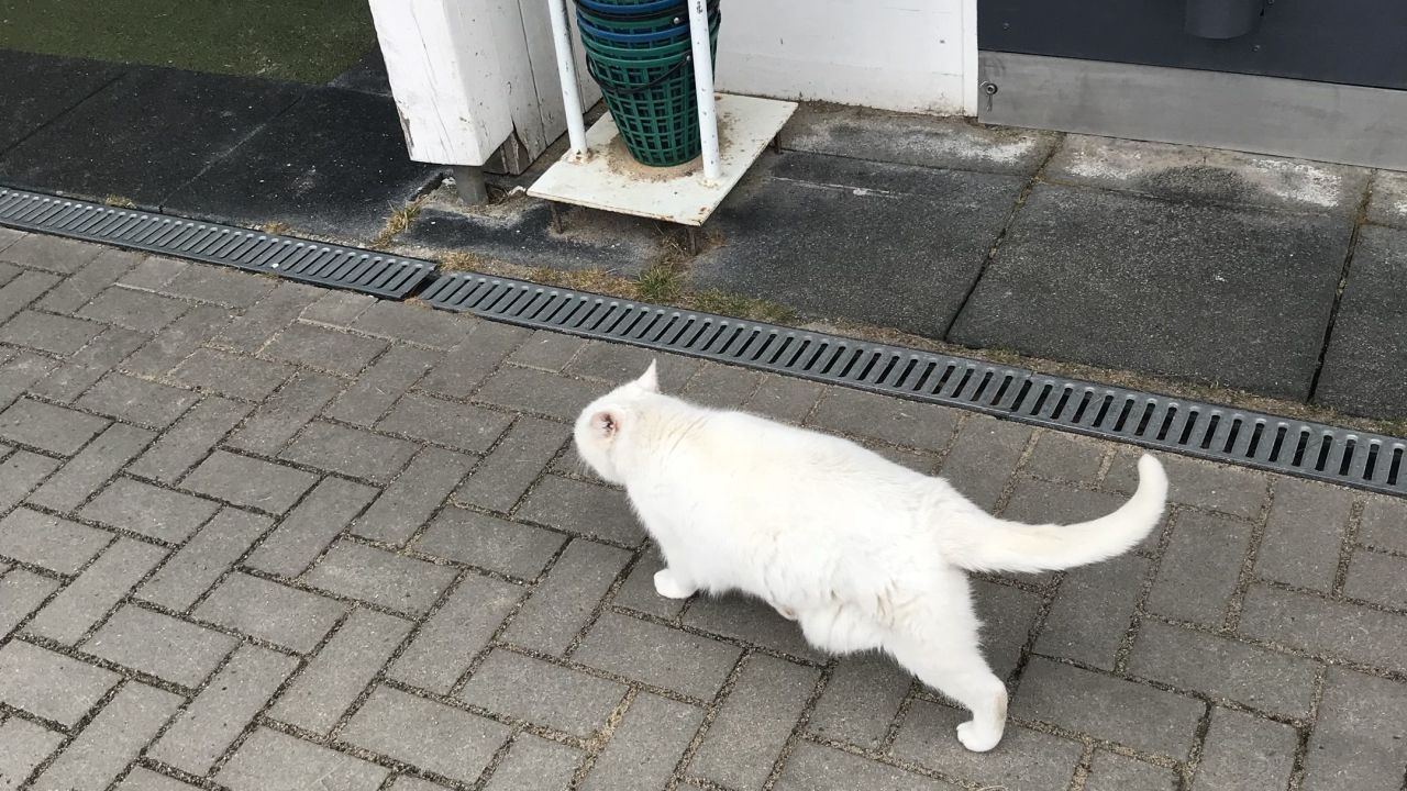 Berliner GC Stolper Heide