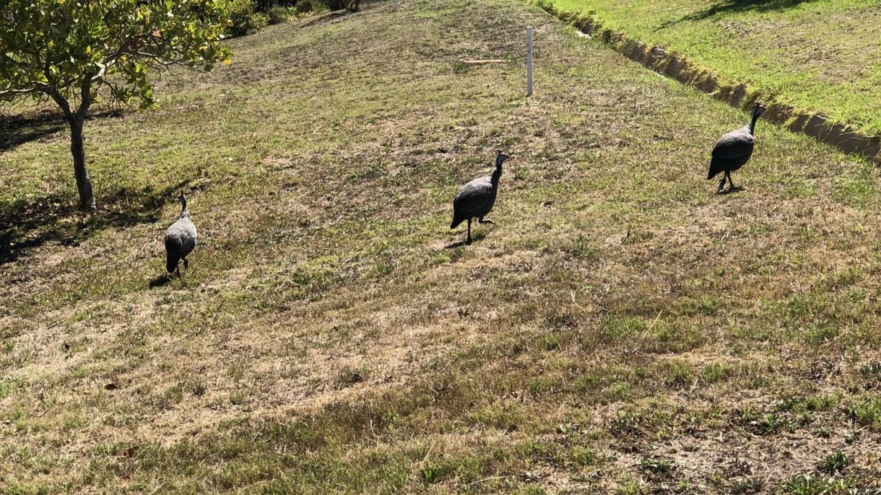 Helderberg Village Golf Club