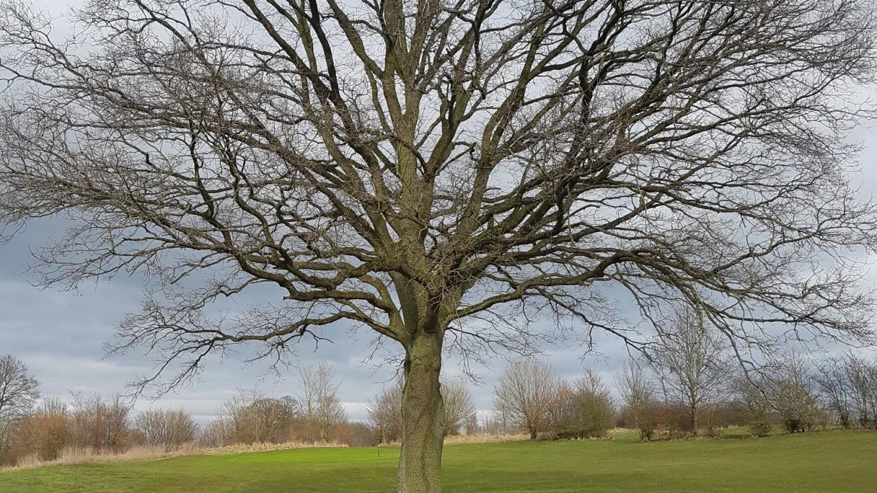 Maritim Golfpark Ostsee