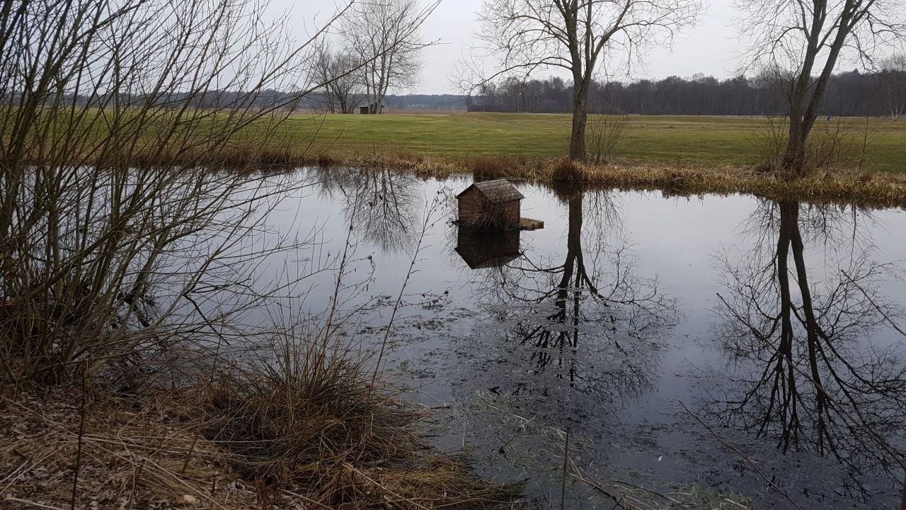 Golf Gut Hainmühlen