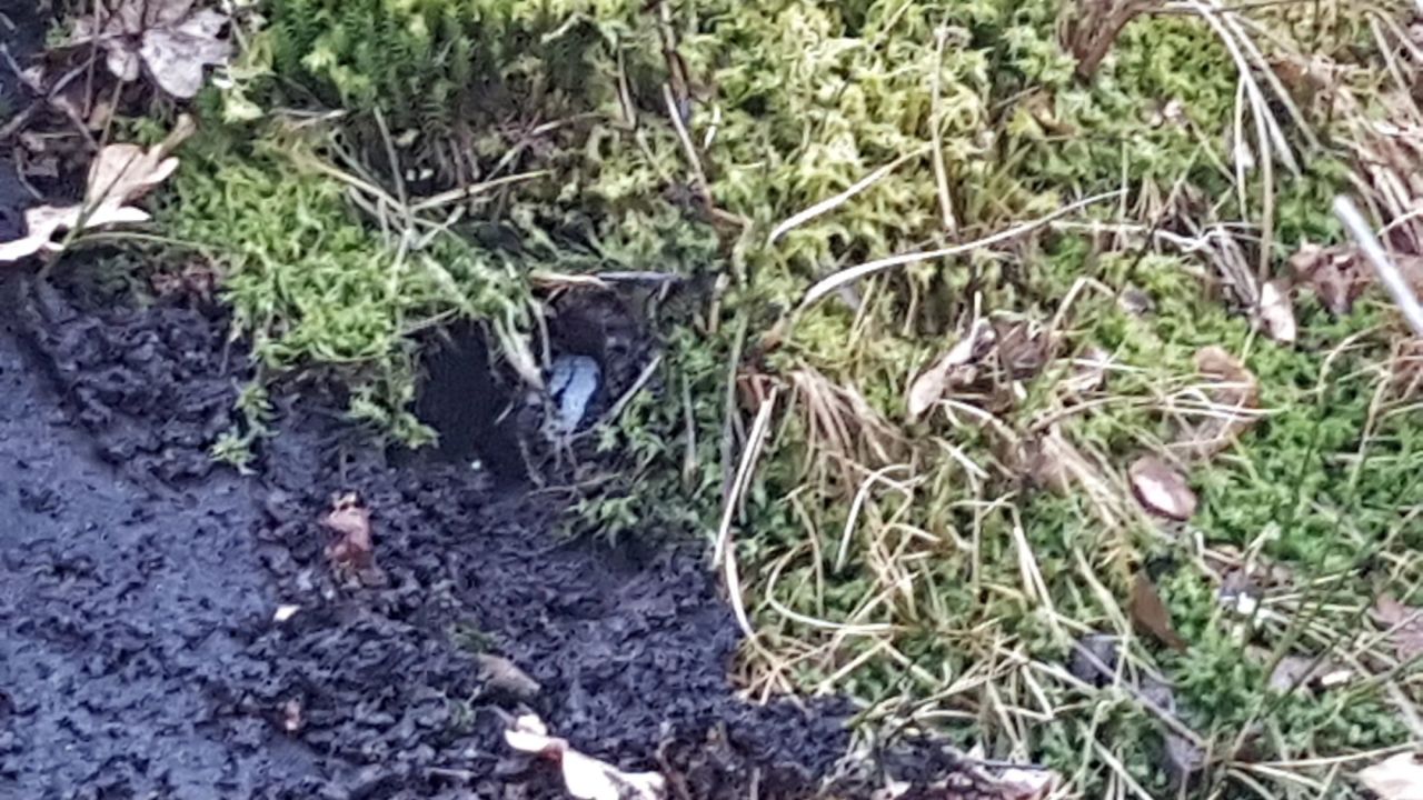 Golf Gut Hainmühlen