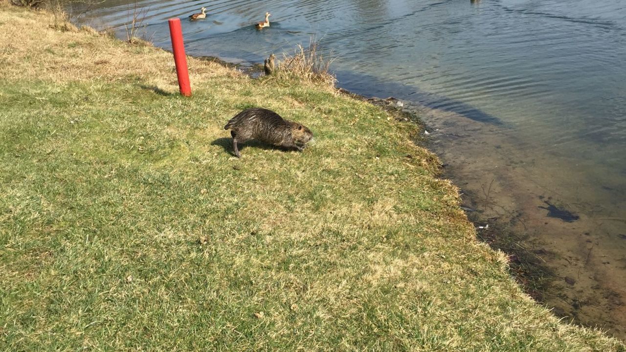 Golf & Country Club Velderhof