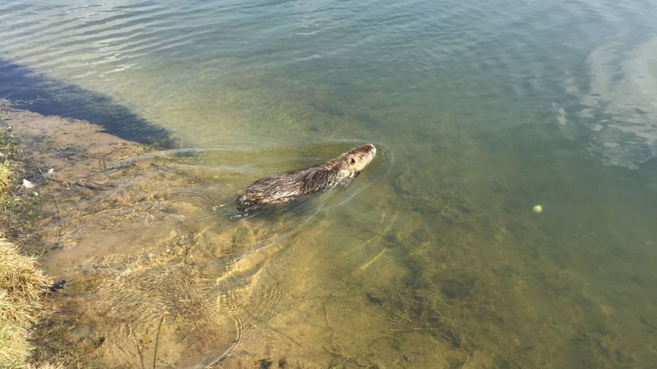 Golf & Country Club Velderhof