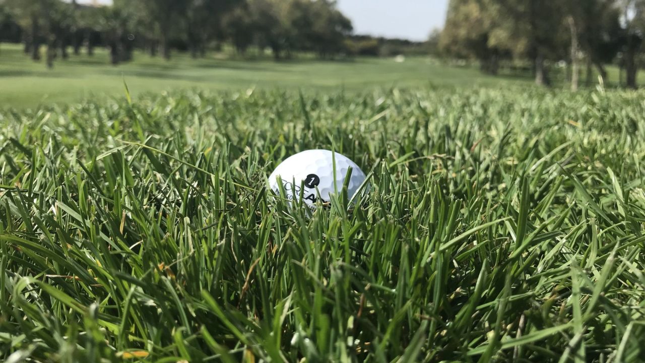 The Royal Malta Golf Club