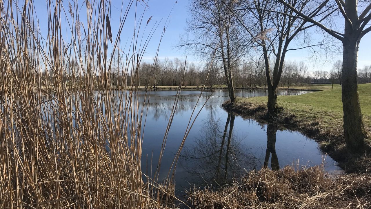 GC Worms Golfanlage Hamm