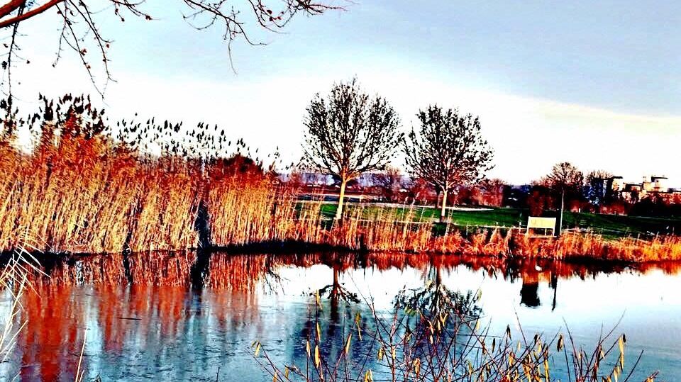 GC Worms Golfanlage Hamm