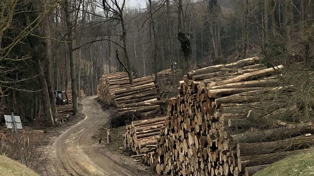 GolfResort Hardenberg