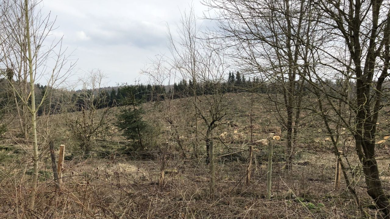 GolfResort Hardenberg