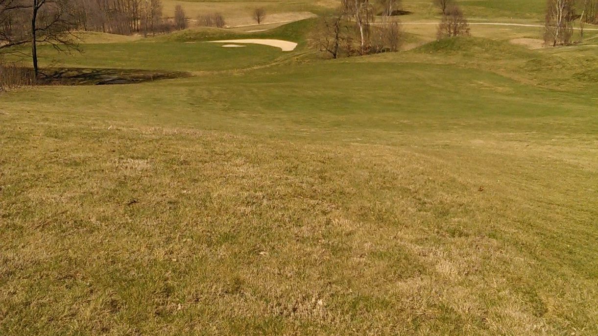 Dresdner GC Tharandter Wald