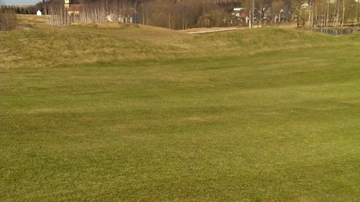 Dresdner GC Tharandter Wald