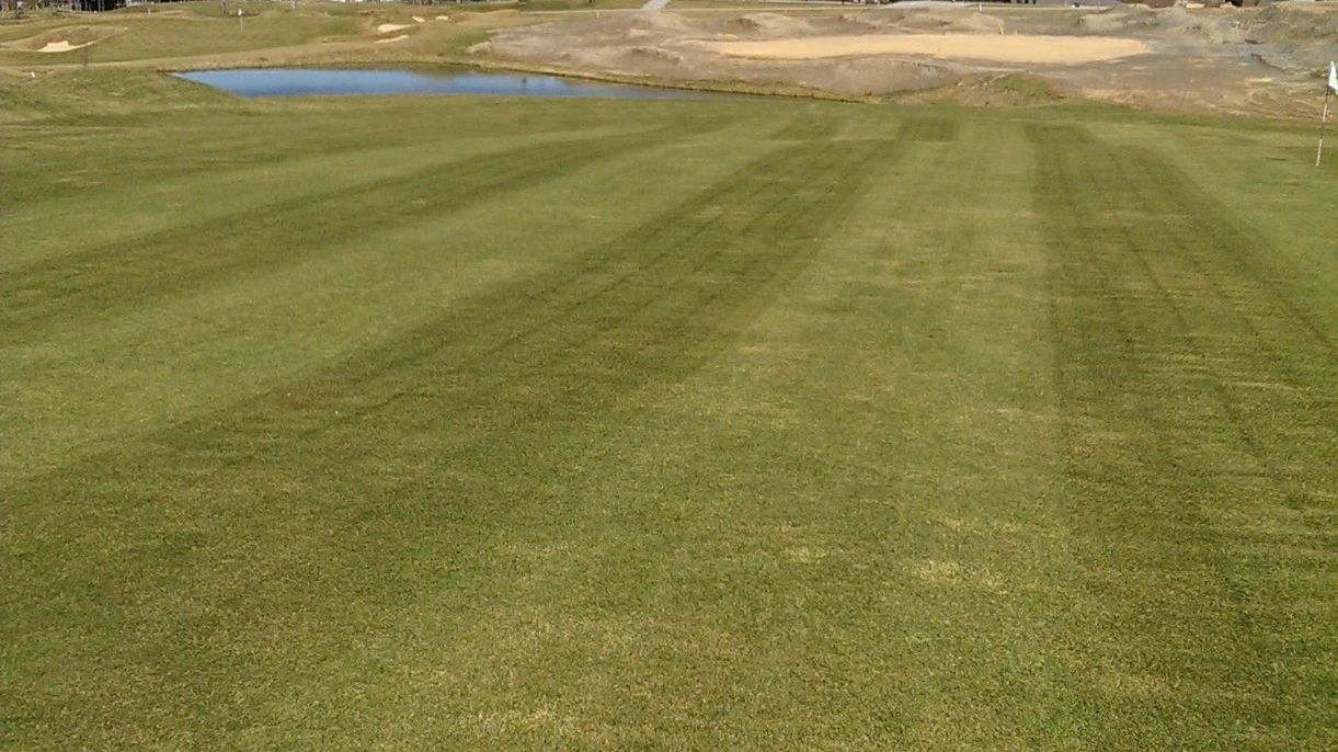 Dresdner GC Tharandter Wald