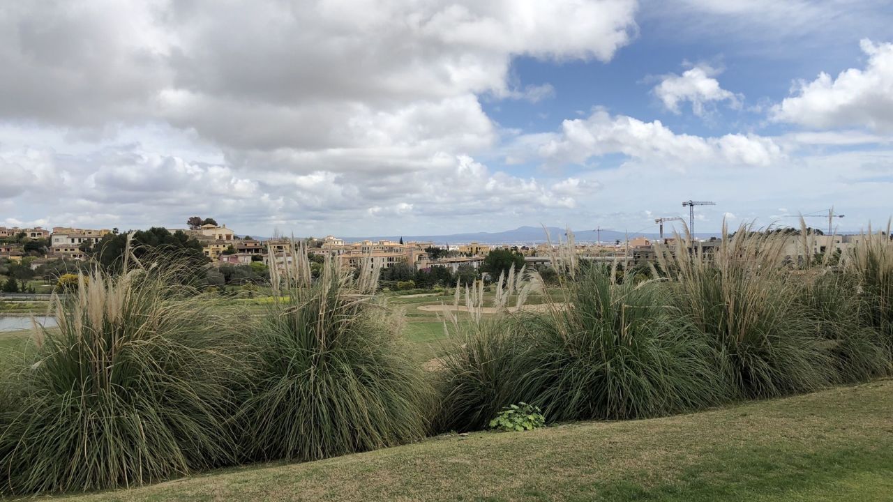 Arabella Golf Son Quint