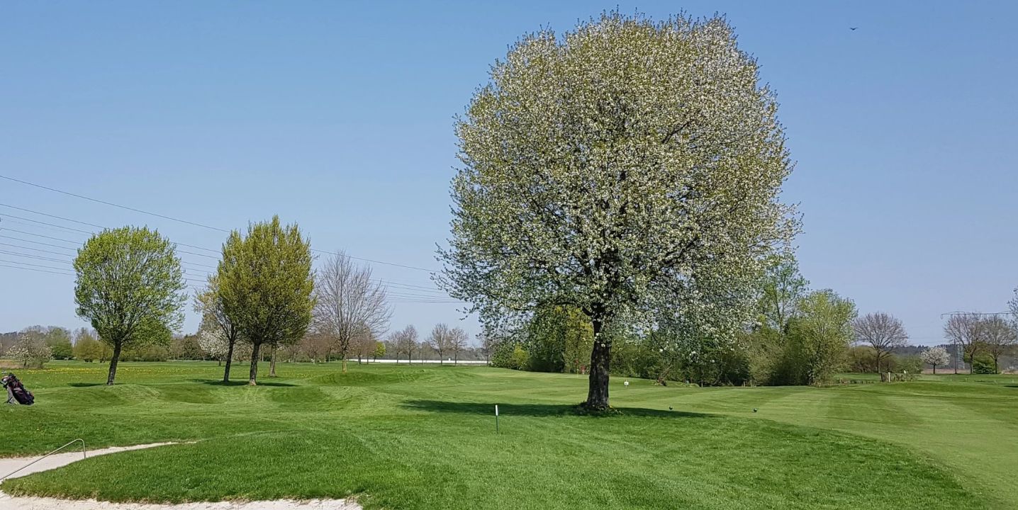 GC Schloss Guttenburg