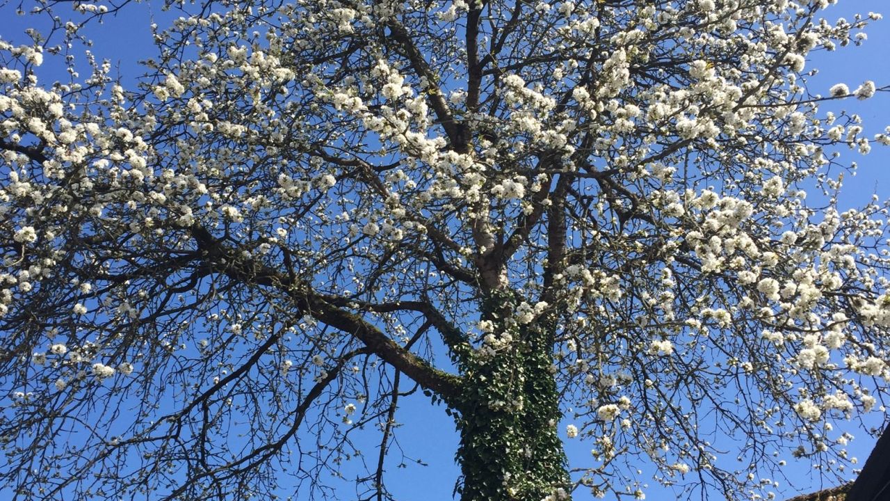 Van der Valk GC Serrahn