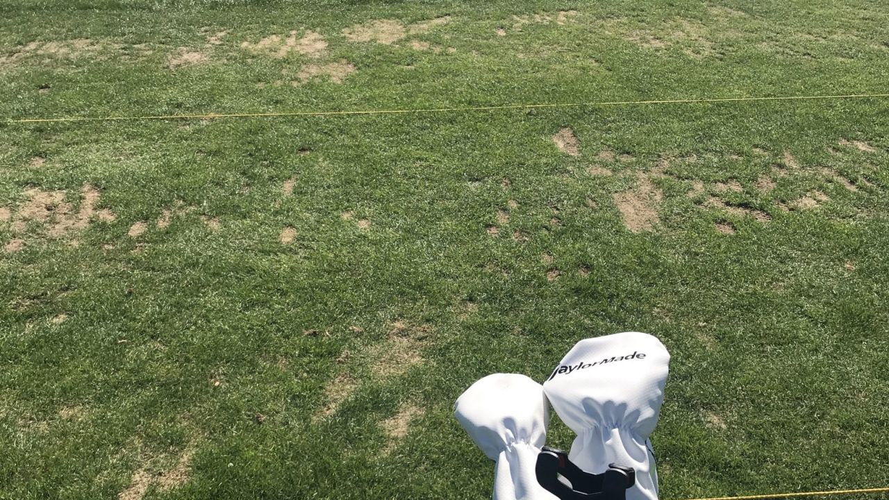 Berliner GC Stolper Heide