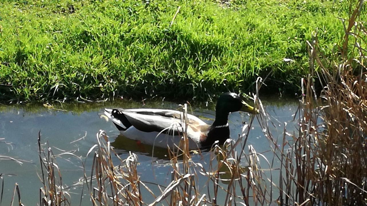 GolfRange Wien-Tuttendörfl