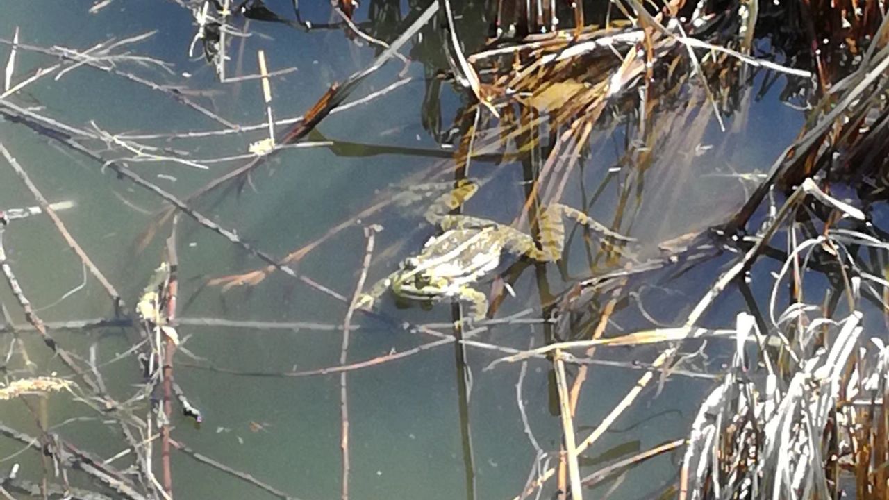 GolfRange Wien-Tuttendörfl