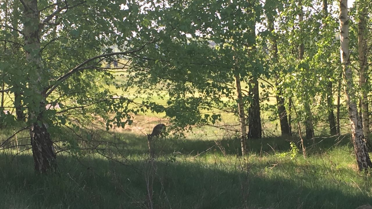 Golf Club Bad Saarow