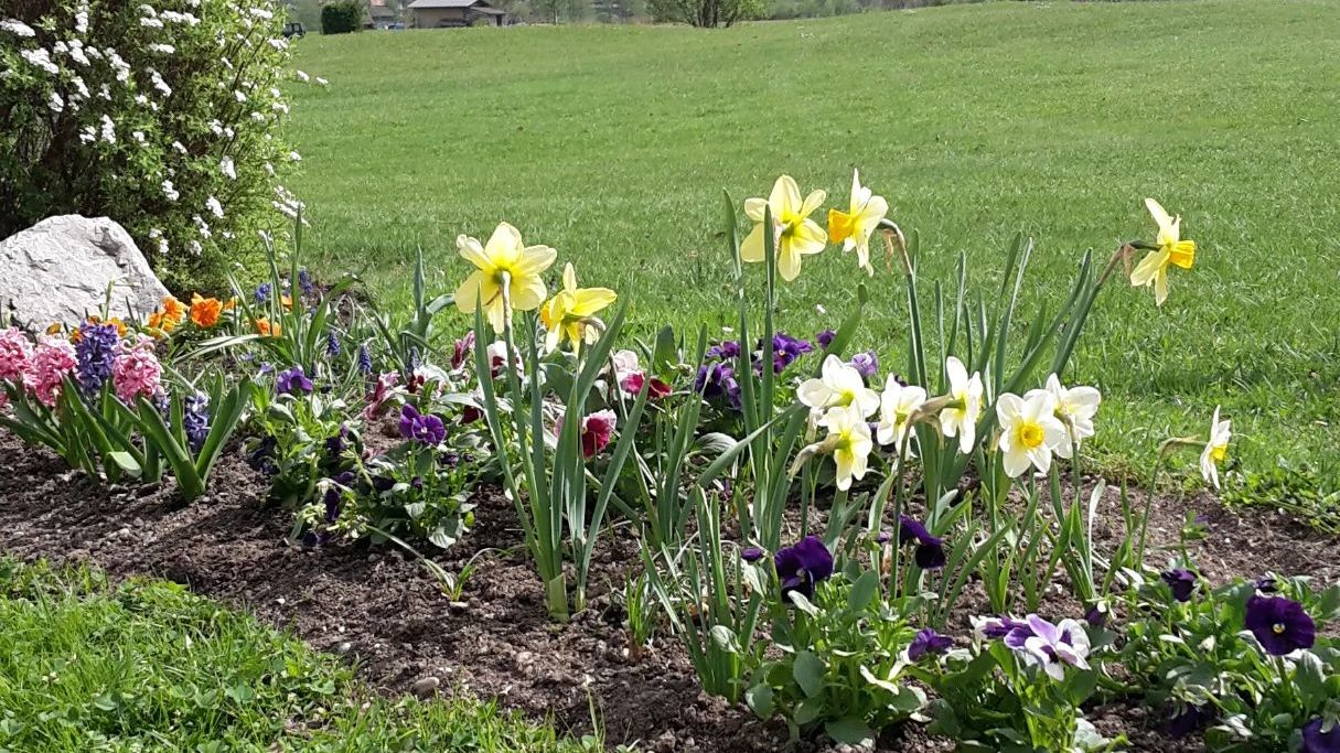 Golfclub Zugspitze-Tirol Ehrwald-Lermoos