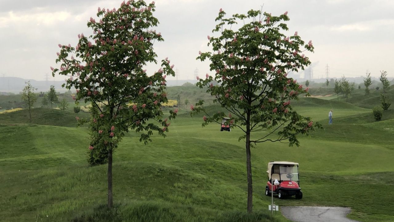 Kölner Golfclub