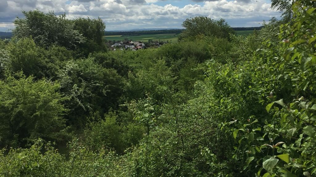 Golf Park Gudensberg